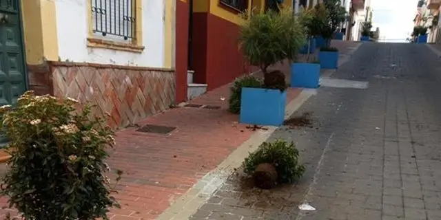 15740806_1319858191411457_3770613790998335179_n