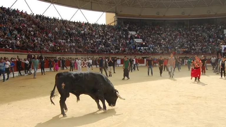 Toro Embolao 2