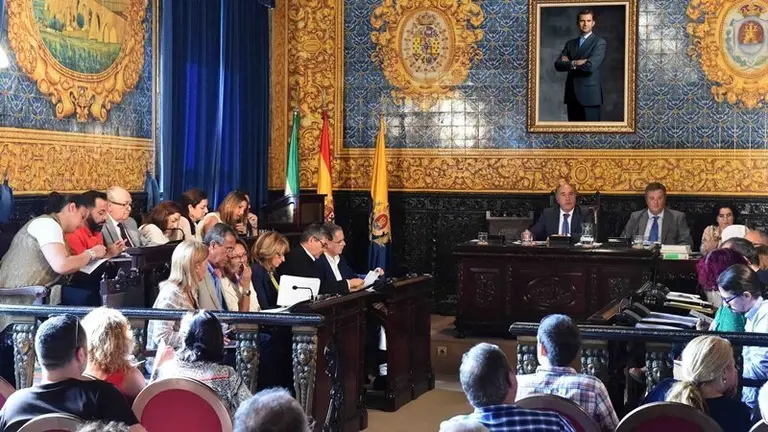 PLENO ORDINARIO