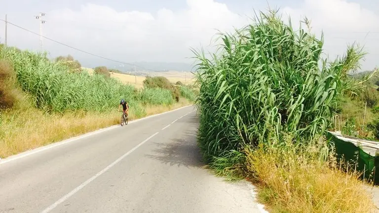 Carretera del Faro