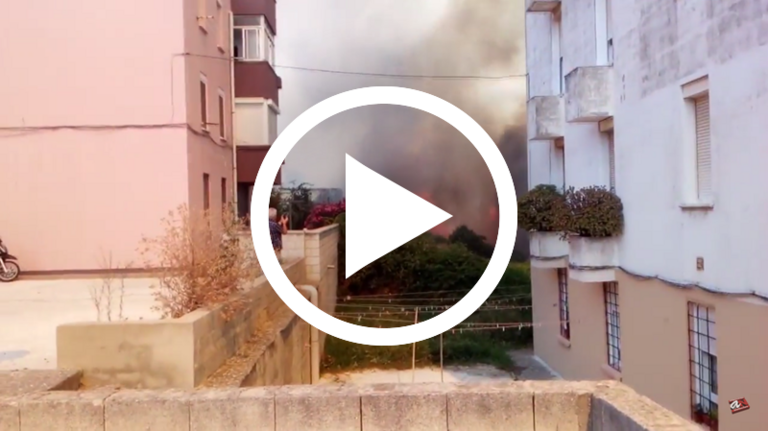Fuego La Granja