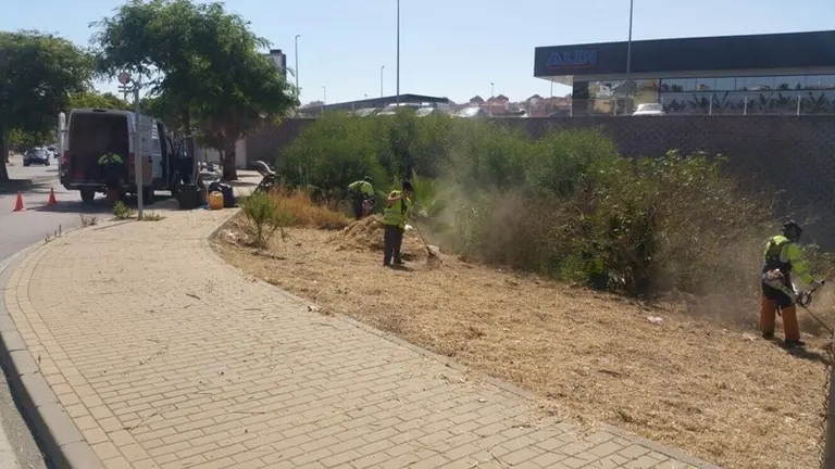 LIMPIEZA MRGENES CARRETERAS