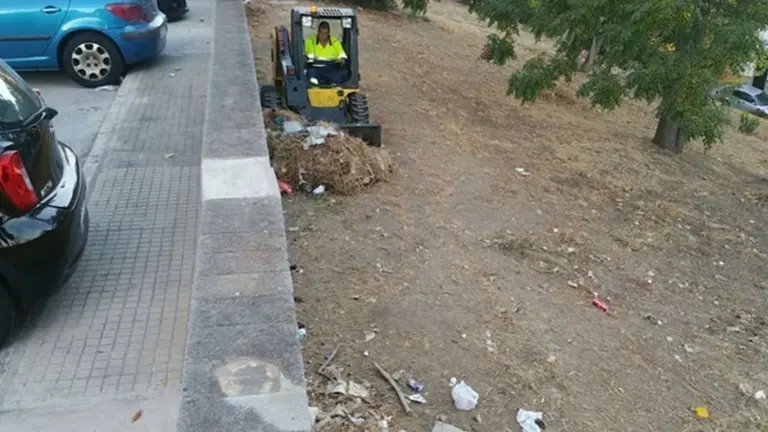 TERMINACION DE LIMPIEZA. DESBROCE Y RECOGIDA CALLE GUERRITA LA PINERA