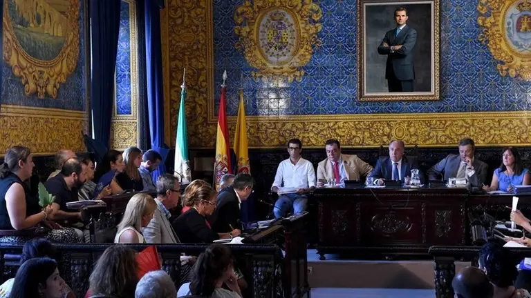 PLENO ORDINARIO(2)