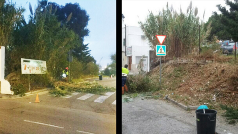 Marzales limpieza