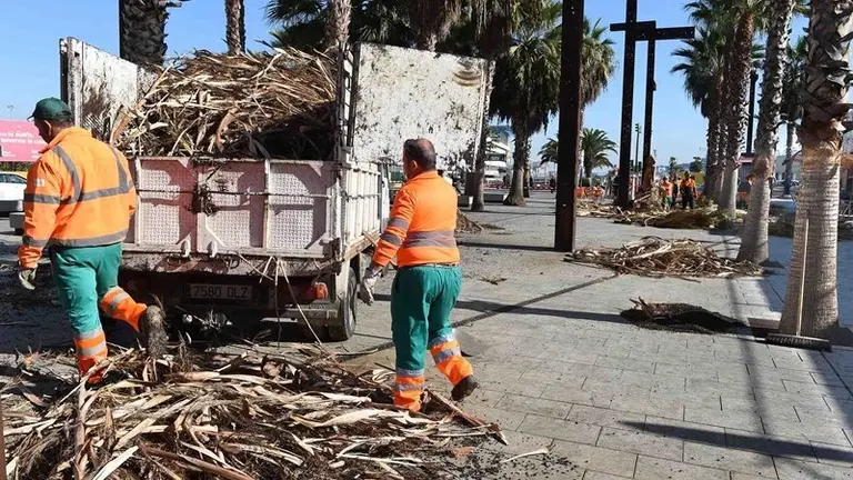 PODA DE PALMERAS EN EL PASEO DEL RIO DE LA MIEL