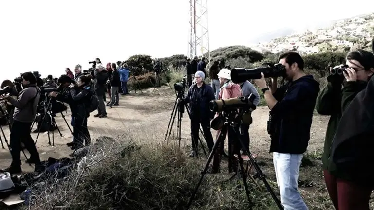 Birdwatchers en Punta Carnero