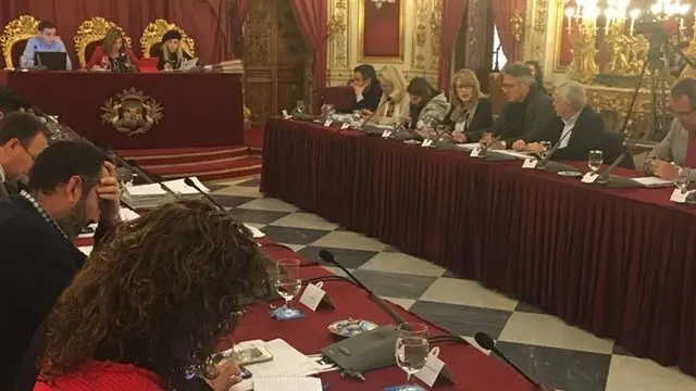 Pintor interviene en el Pleno de Diputaci&oacute;n