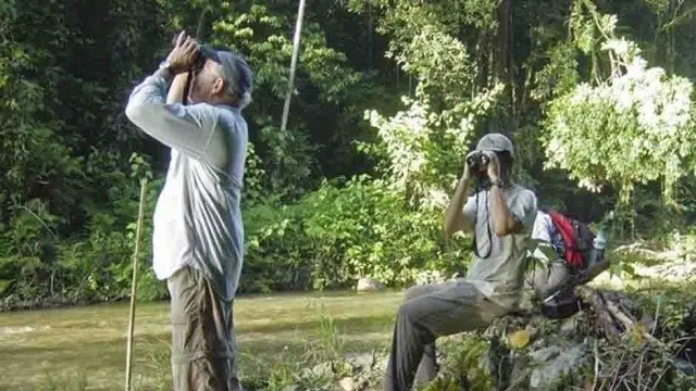 Ecoturismo