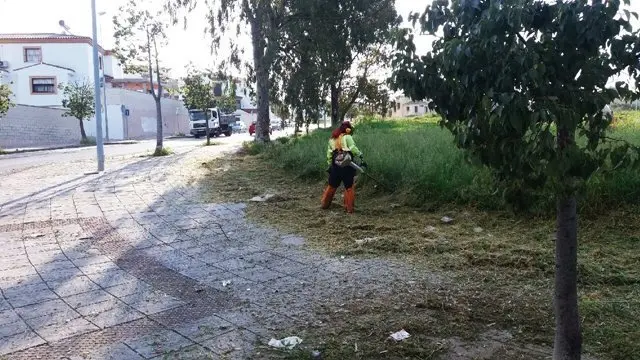 Un instante de los trabajos de desbroce llevados a cabo en El Cobre