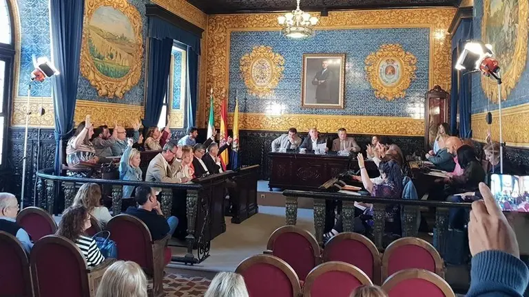 Imagen de la sesi&oacute;n plenaria extraordinaria celebrada este mediod&iacute;a