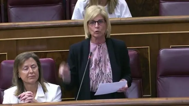 Maria Jos&eacute; Garcia - Pelayo, en el Comgreso de los Diputados