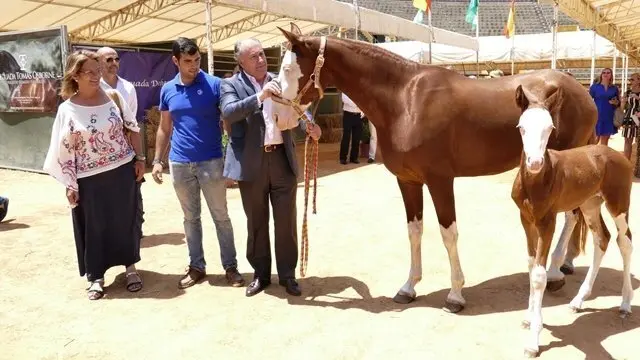 Un momento de la apertira de la Feria de Ganado