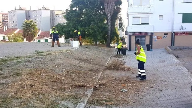 Tareas de limpieza en el Saladillo