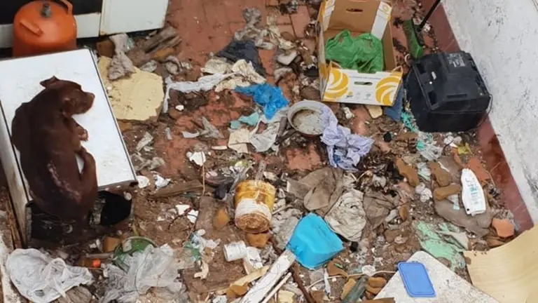 Estado en el que se encontraba el perro recuperado