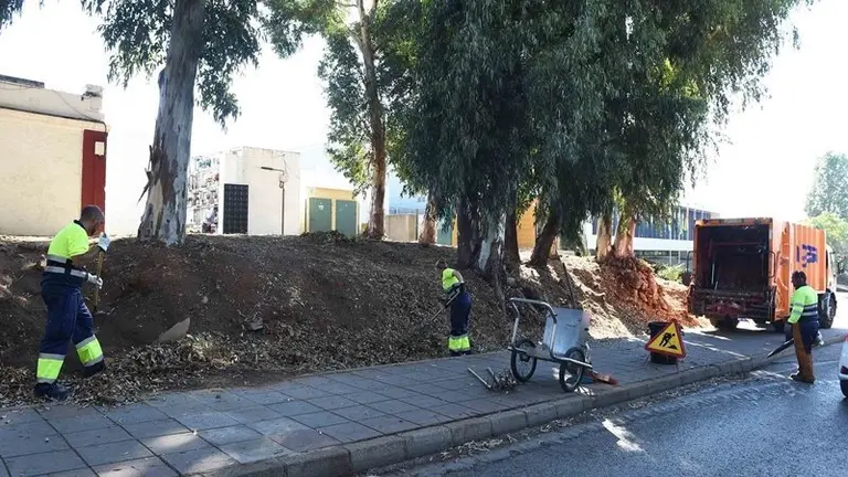 Algesa realiza una limpieza en los alrededores el Cementerio Viejo