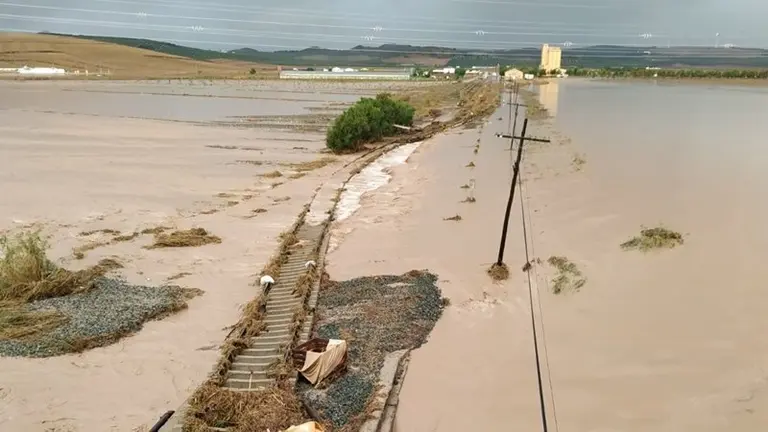 Estado de la v&iacute;a ferrea