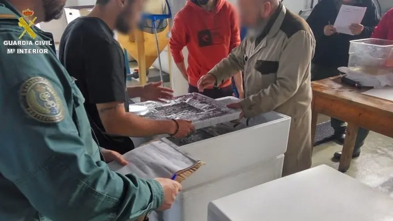 La Guardia Civil dirige el traslado de los animales al centro espec&iacute;fico para su tratamiento