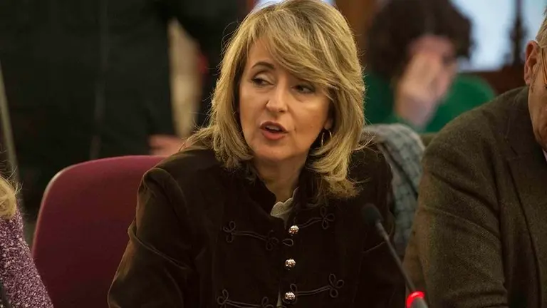 Pilar Pintor en el pleno de Diputaci&oacute;n Ene2019