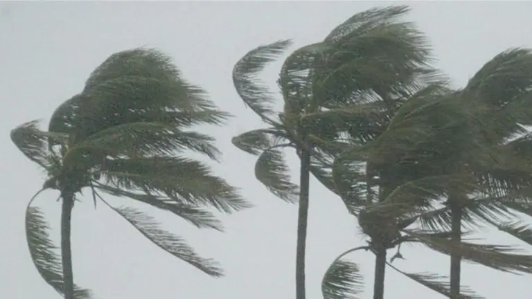 Temporal de viento