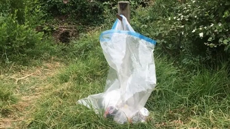 Papeleras del paque fluvial del r&iacute;o P&iacute;caro