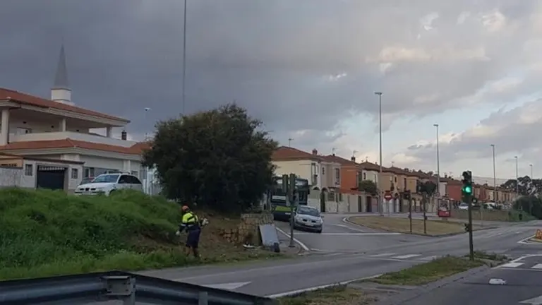 Imagen de los trabajos que se est&aacute;n llevando a cabo en la zona