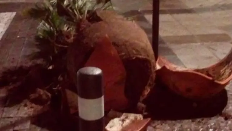 Macetero destrozado en la calle Alfonso XI