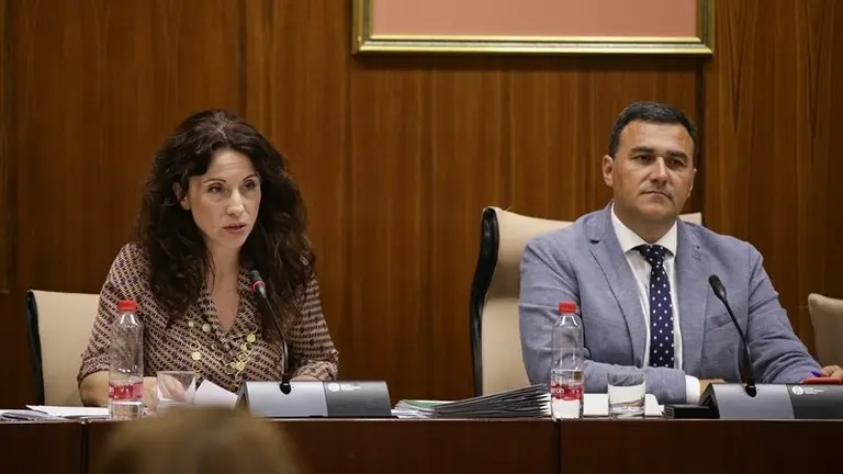 La consejera de Igualdad en la comisi&oacute;n