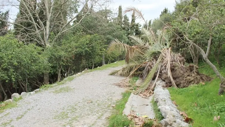 Parque del Cortijo Vides