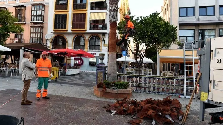 &Aacute;ngel Mart&iacute;nez supervisa los trabajos