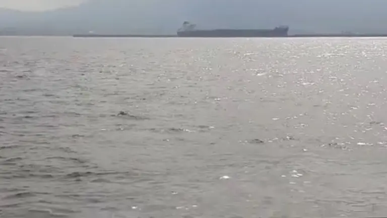 Vertido de fuel en la Bah&iacute;a