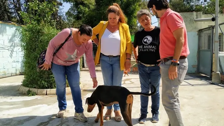 Un momento de la visita a la protectora