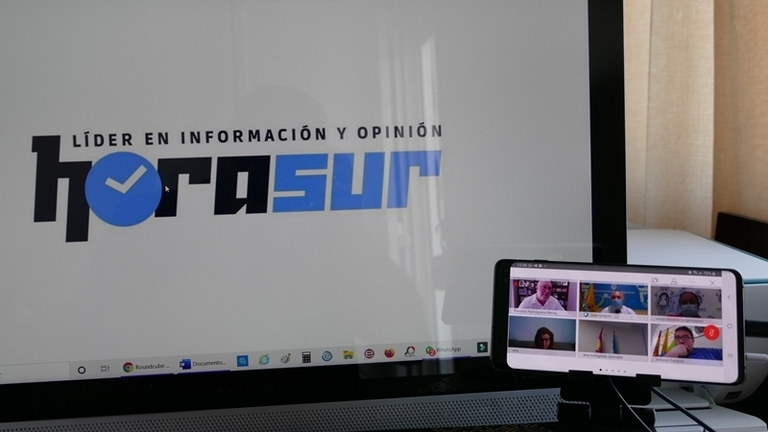 Horasur prensente en la reunion telematica