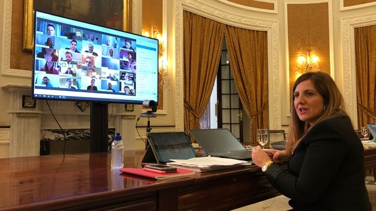 Pleno COVID_la presidenta dirige el pleno desde el Palacio Provincial