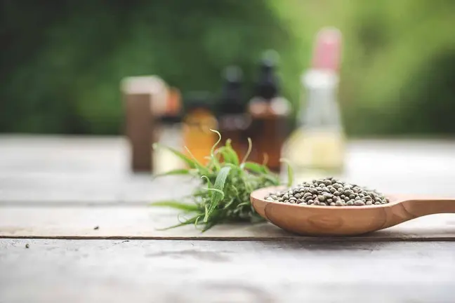 Salud& Cannabis: propiedades de las semillas de cannabis