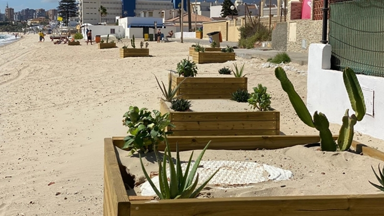 Maceteros en la playa del Rinconcillo