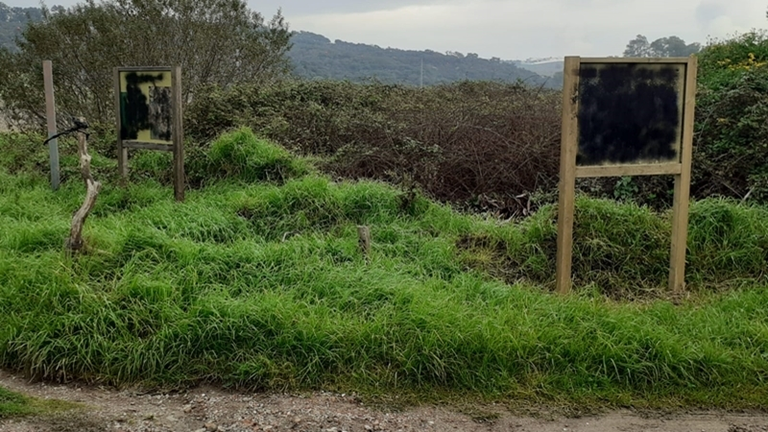 Da&ntilde;os Puerta Verde