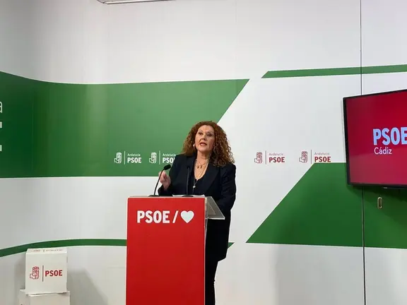 PSOE C&Aacute;DIZ