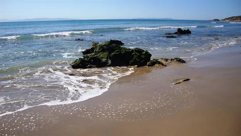 La playa de Valdevaqueros, en el t&eacute;rmino municipal de Tarifa