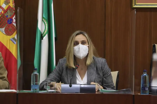 Carazo en Comisi&oacute;n