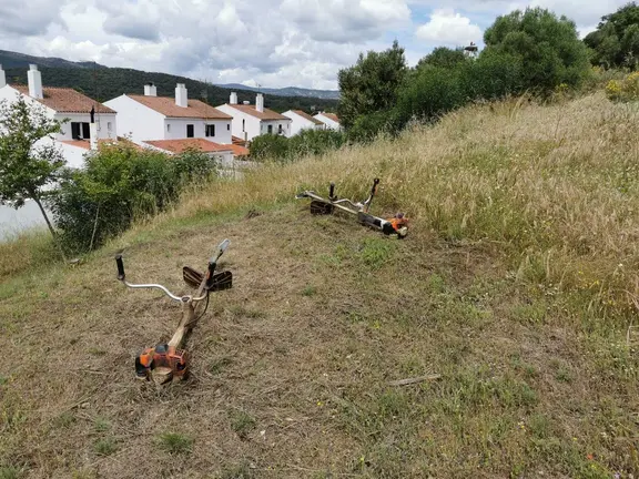 desbroce castellar de la frontera
