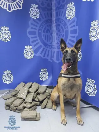 Nea, perra polic&iacute;a. POLIC&Iacute;A NACIONAL