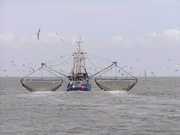 barco faenando en el estrecho