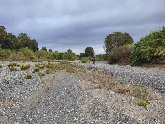 Desembocadura del r&iacute;o Genal en el Guadiaro&nbsp;- VERDEMAR