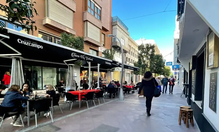 el violinista