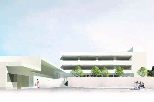 Propuesta nuevo instituto palmones