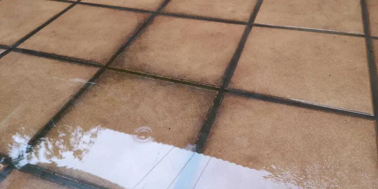 restos de carb&oacute;n en un patio de palmones