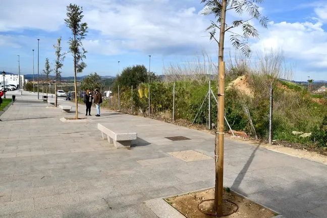 &Aacute;rboles plantados en San Roque