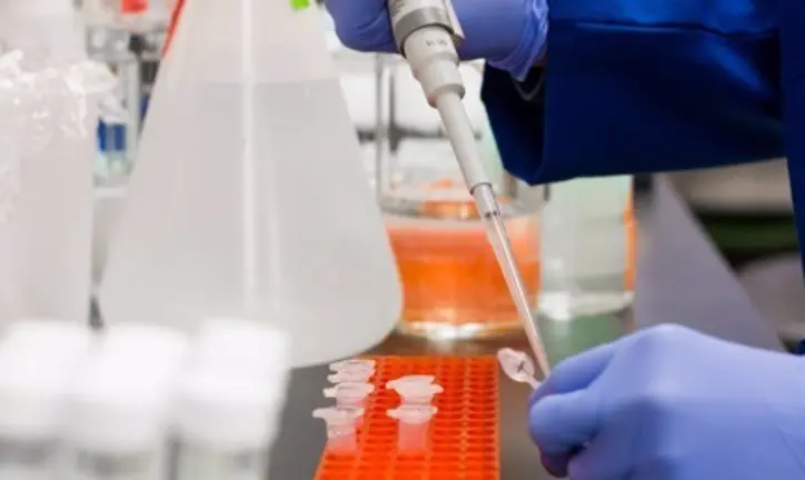 laboratorio
