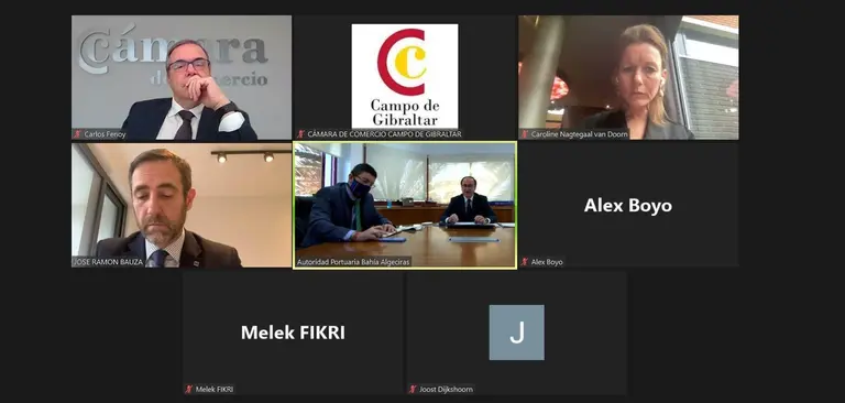 Captura de la reuni&oacute;n